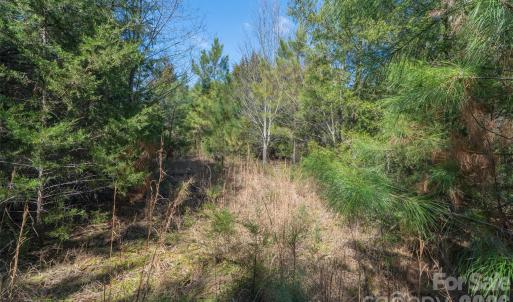 Photo #12 of Cemetery, Fort Lawn, SC