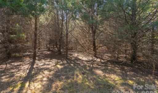 Photo #19 of Cemetery, Fort Lawn, SC
