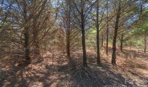 Photo #21 of Cemetery, Fort Lawn, SC