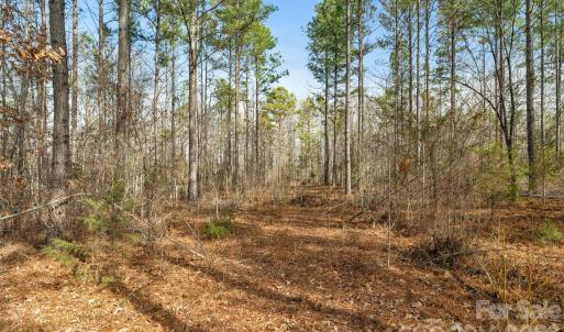 Photo #28 of Peacehaven, McConnells, SC