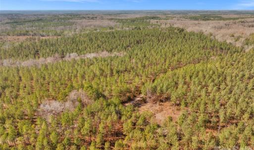 Photo #32 of Peacehaven, McConnells, SC