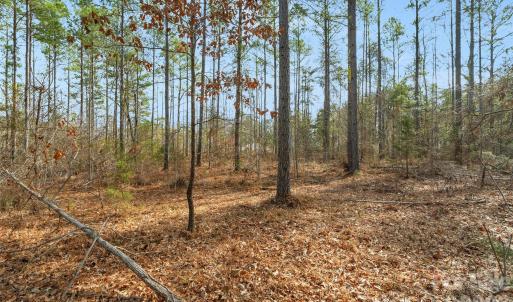 Photo #29 of Peacehaven, McConnells, SC