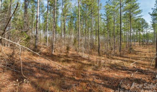 Photo #14 of Peacehaven, McConnells, SC