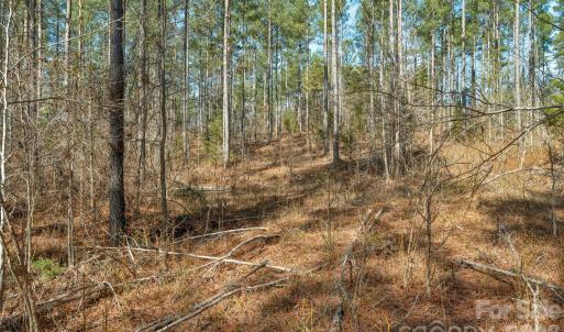 Photo #19 of Peacehaven, McConnells, SC