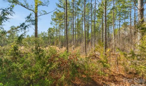 Photo #10 of Peacehaven, McConnells, SC