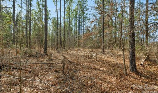 Photo #11 of Peacehaven, McConnells, SC