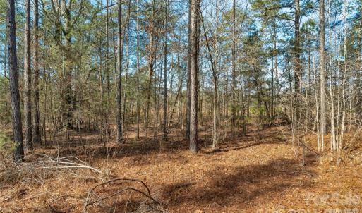 Photo #24 of Peacehaven, McConnells, SC