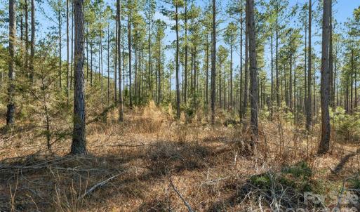 Photo #4 of Peacehaven, McConnells, SC