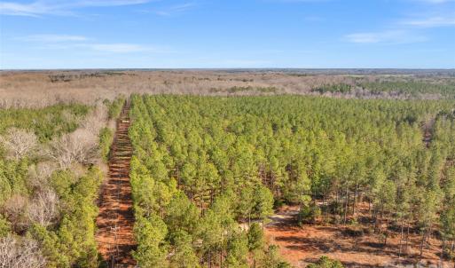 Photo #12 of Peacehaven, McConnells, SC