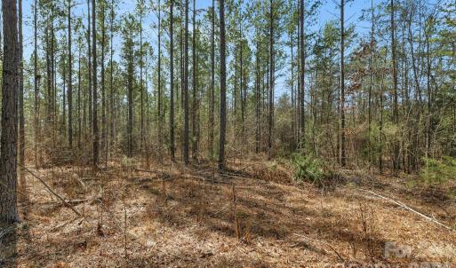 Photo #23 of Peacehaven, McConnells, SC