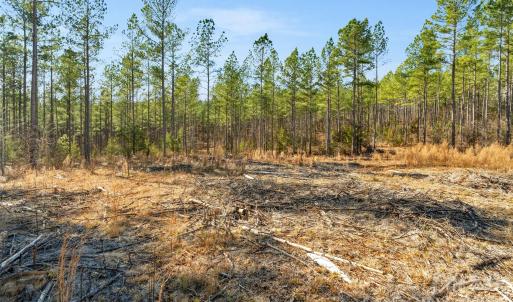 Photo #13 of Peacehaven, McConnells, SC