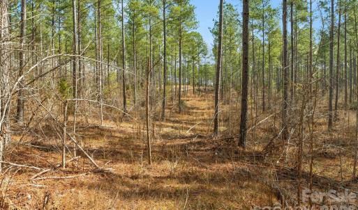 Photo #20 of Peacehaven, McConnells, SC