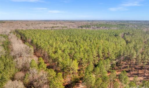 Photo #8 of Peacehaven, McConnells, SC