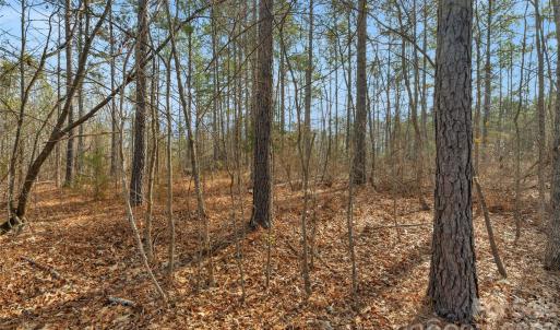 Photo #15 of Peacehaven, McConnells, SC