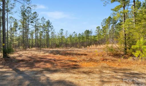 Photo #17 of Peacehaven, McConnells, SC