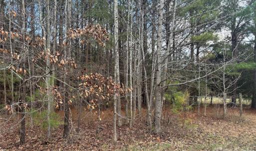 Photo #9 of 7.6 +/- Ac Pioneer, York, SC