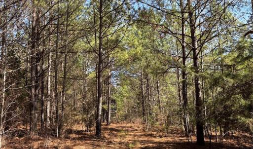Photo #3 of 7.6 +/- Ac Pioneer, York, SC