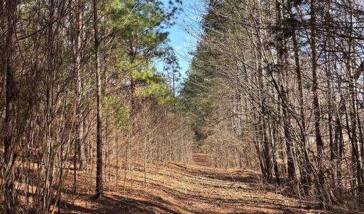 Photo #27 of 7.6 +/- Ac Pioneer, York, SC