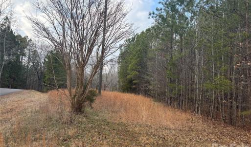 Photo #18 of 7.6 +/- Ac Pioneer, York, SC