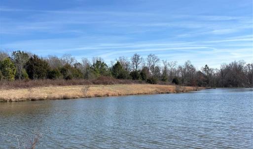 Photo #6 of 7.6 +/- Ac Pioneer, York, SC