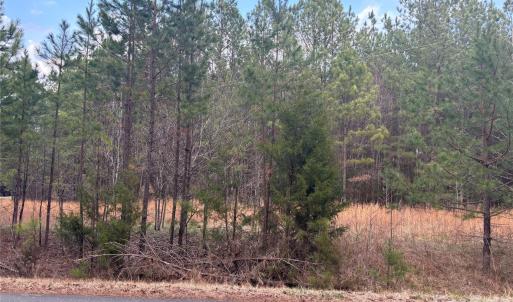 Photo #10 of 7.6 +/- Ac Pioneer, York, SC