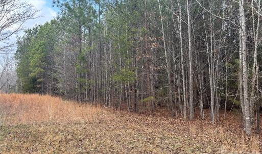 Photo #7 of 7.6 +/- Ac Pioneer, York, SC
