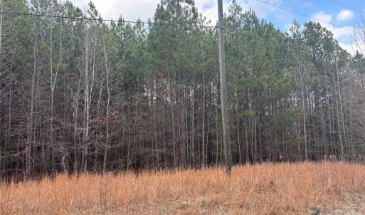 Photo #21 of 7.6 +/- Ac Pioneer, York, SC