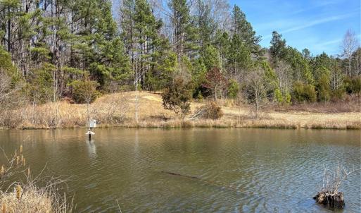 Photo #28 of 7.6 +/- Ac Pioneer, York, SC