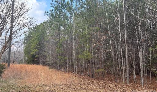 Photo #17 of 7.6 +/- Ac Pioneer, York, SC