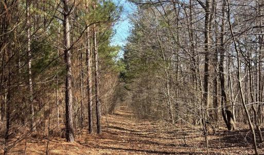 Photo #26 of 7.6 +/- Ac Pioneer, York, SC