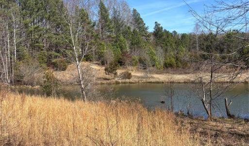 Photo #5 of 7.6 +/- Ac Pioneer, York, SC