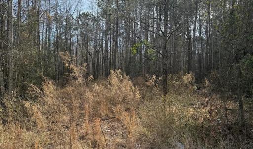 Photo #1 of 364 Longhorn, Cheraw, SC