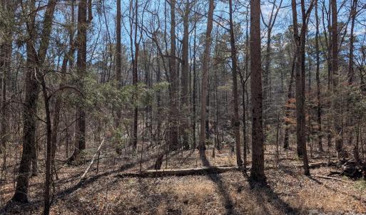 Photo #4 of 489 & 491 Mimosa, Rock Hill, SC