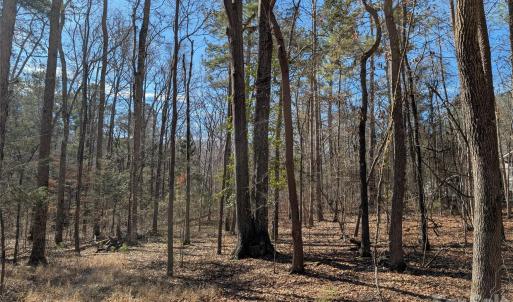 Photo #3 of 489 & 491 Mimosa, Rock Hill, SC