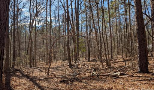 Photo #2 of 489 & 491 Mimosa, Rock Hill, SC