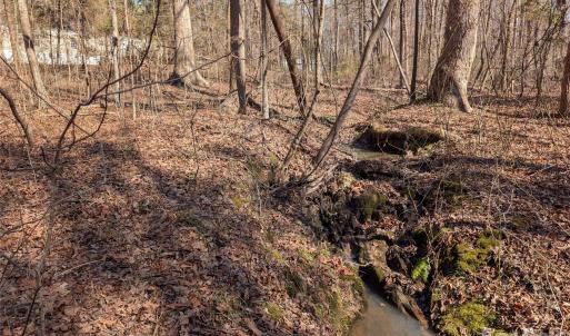 Photo #8 of 489 & 491 Mimosa, Rock Hill, SC