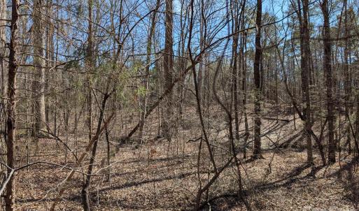 Photo #6 of 489 & 491 Mimosa, Rock Hill, SC