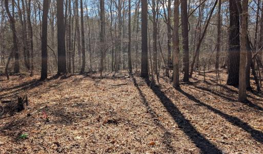 Photo #1 of 489 & 491 Mimosa, Rock Hill, SC