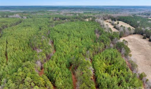 Photo #36 of Woods Ferry, Carlisle, SC