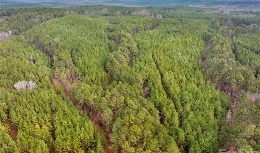 Photo #18 of Woods Ferry, Carlisle, SC