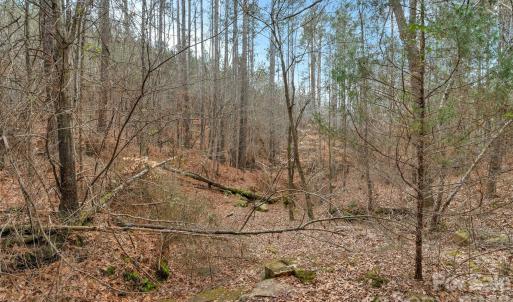 Photo #5 of Woods Ferry, Carlisle, SC