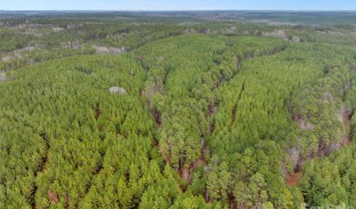 Photo #12 of Woods Ferry, Carlisle, SC