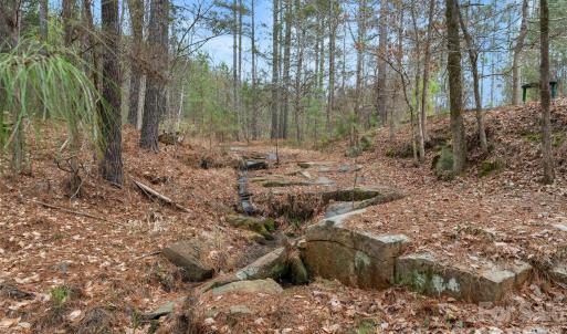 Photo #16 of Woods Ferry, Carlisle, SC