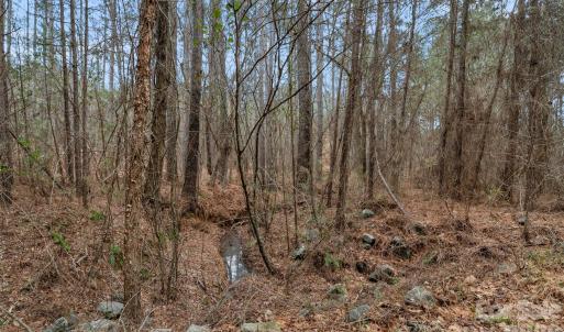 Photo #22 of Woods Ferry, Carlisle, SC