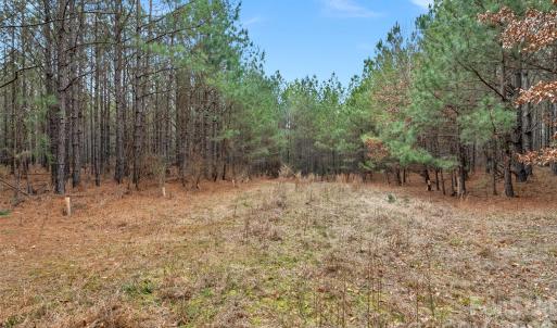 Photo #39 of Woods Ferry, Carlisle, SC