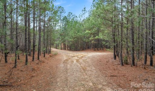 Photo #30 of Woods Ferry, Carlisle, SC