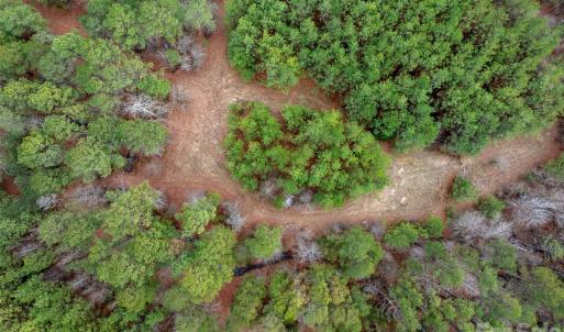 Photo #19 of Woods Ferry, Carlisle, SC