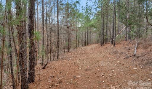 Photo #40 of Woods Ferry, Carlisle, SC