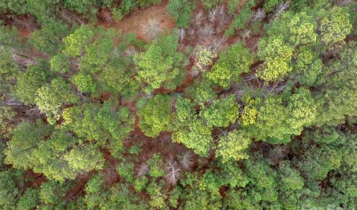 Photo #47 of Woods Ferry, Carlisle, SC