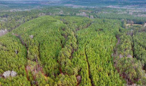 Photo #17 of Woods Ferry, Carlisle, SC